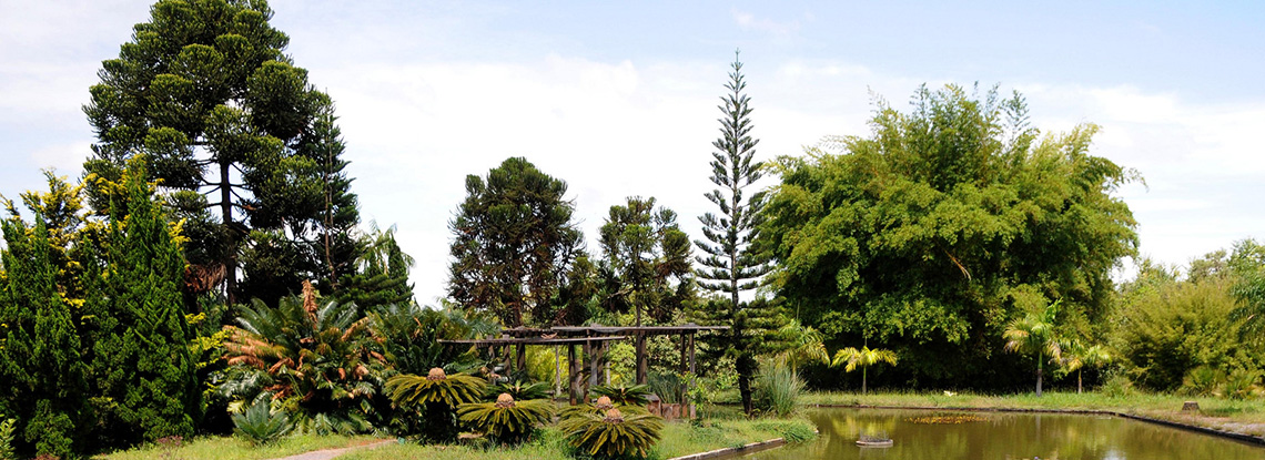 Jardim Botânico 